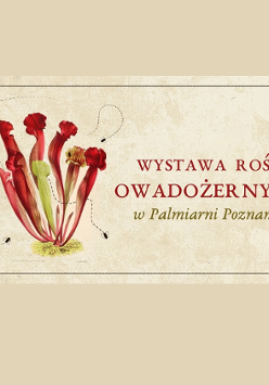 baner rośliny owadożerne