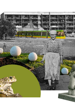 Kolaż składający się z różnych elementów miejskich i wiejskich. W centrum starsza kobieta z koszykiem. W tle blokowiska z napisem "Osiedle Oświecenia". W tle widoczny poznański tramawaj, figurka Matki Boskiej w kapliczce z czerwonej cegły, rzeźba, ropucha na kamieniu. Duże kule na trawie. Po bokach słoneczniki.