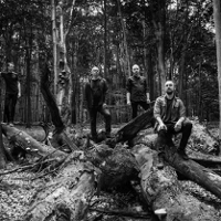 Bez wprowadzania chaosu