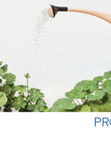 Baner, kwitnące pelargonie, nad nimi konewka z płynącą wodą, z boku napis Biała Sobota i znak krzyża, z drugiej strony nachodzace czerwono - niebieskie części obręczy.