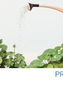 Baner, kwitnące pelargonie, nad nimi konewka z płynącą wodą, z boku napis Biała Sobota i znak krzyża, z drugiej strony nachodzace czerwono - niebieskie części obręczy.