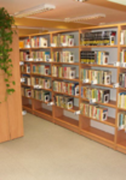 Biblioteka Raczyńskich - Filia 12