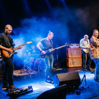 Bielizna z dna bagna