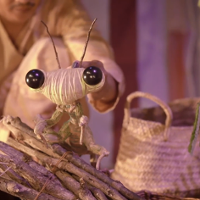 BIENNALE SZTUKI DLA DZIECKA. Las wiecznie zielony?