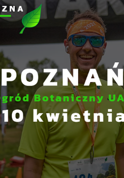 zdjęcie dekoracyjne
