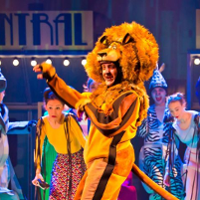 Brawa dla Madagaskaru!