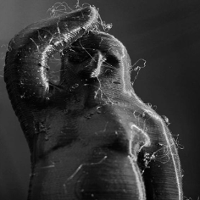 Cały mikroświat Hoffmanna