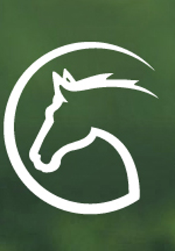 Cavaliada Targi 2014