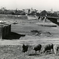 Chodź, pomaluj swój świat...