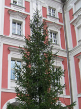 Choinka na dziedzińcu Urzędu Miasta Poznania.