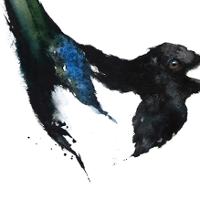 Chwyć srokę za ogon