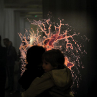 Ciało stało się obrazem