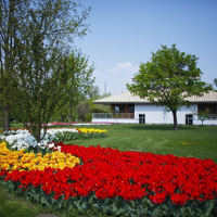 Co piszczy w "Botaniku"?