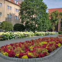 Co wiedział Jack Strong?