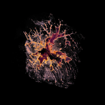 Fioletowa plama na czarnym tle.