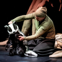 Czy wszystkie drzewa bujają w obłokach?