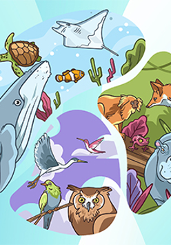 Rysunkowe przedstawienia zwierząt wodnych, lądowych i latających.