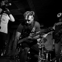 Dajemy brzmienie szaleństwu