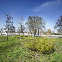 Dla Bohaterów z Ukrainy