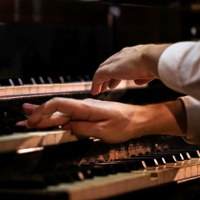 Dla wielbicieli farnych organów