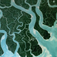 Dlaczego nikt o tym nie krzyczy?