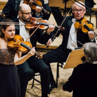 Dobra passa wiolinistów