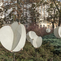 Drugie Wirtualne Drzwi Otwarte UAP