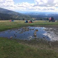 Duch rebelii na świeżo odzyskanych trawnikach