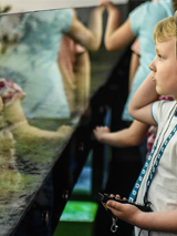 dzieci zwiedzają ekspozycję