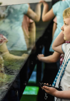 dzieci zwiedzają ekspozycję