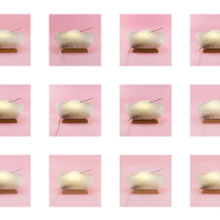 Dzień po dniu, liz za lizem