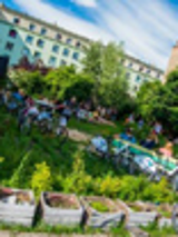 Dzień Sąsiada na Wildzie