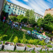 Dzień Sąsiada na Wildzie