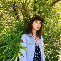 Dzikość w centrum miasta