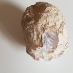 Eksponat