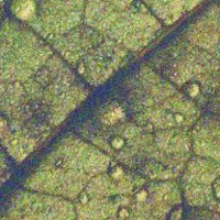 Ekstaza, która uwalnia myślenie