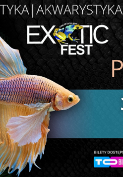 Plakat, który reklamuje "Exotic Fest" targi terrarystyki. Na pierwszysm planie egzotyczna ryba, z boku napisy reklamujące wydarzenie.