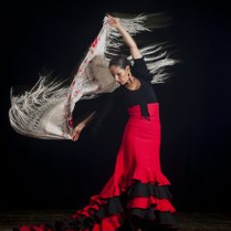 Zdjęcie przedstawia kobietę w tradycyjnym hiszpańskim stroju flamenco, wykonującą taniec. Ma na sobie czarny top, czerwoną spódnicę z czarnymi falbanami i biały szal z kwiatowym haftem. Szal dramatycznie płynie za nią, gdy się obraca, tworząc poczucie ruchu i energii. Jest boso, a jej włosy są zaczesane do tyłu. Tło jest czarne, co wyróżnia kolory jej sukienki i szala.
