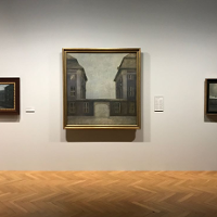 Fenomen Hammershøia