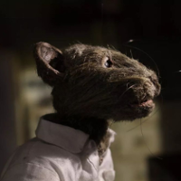 FESTIWAL ANIMATOR. One mówią