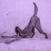 FESTIWAL ANIMATOR. Ten konkurs wszystko przyjmie?