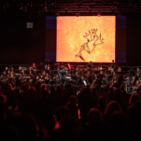 FESTIWAL MALTA. Bolero w rysunkach