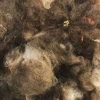 FESTIWAL MALTA. Emancypacja dnia powszedniego