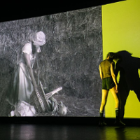 FESTIWAL MALTA. Idzie Troffea!