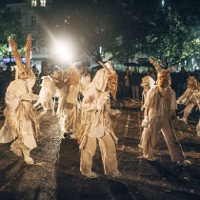 FESTIWAL MALTA. Międzygatunkowe współbrzmienia