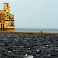 Festiwale - łączcie się!