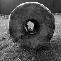 fot. Tour of the Artists' House produce by RESERVE AMES with Erika Ostrander and Christian Tedeschi