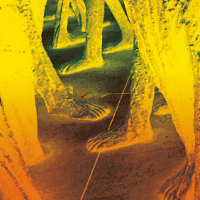 Filantropia kontra eksploracja