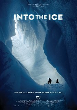 Obrazek jest plakatem promującym film Into the ice. Przedstawia on zdjęcie dwóch glacjologów, znajdujących się na dnie białej, lodowej jaskini.