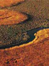 Jedna z prezentowanych na wystawie fotografii